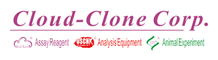 2mag AG logo